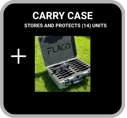 CARRY CASE